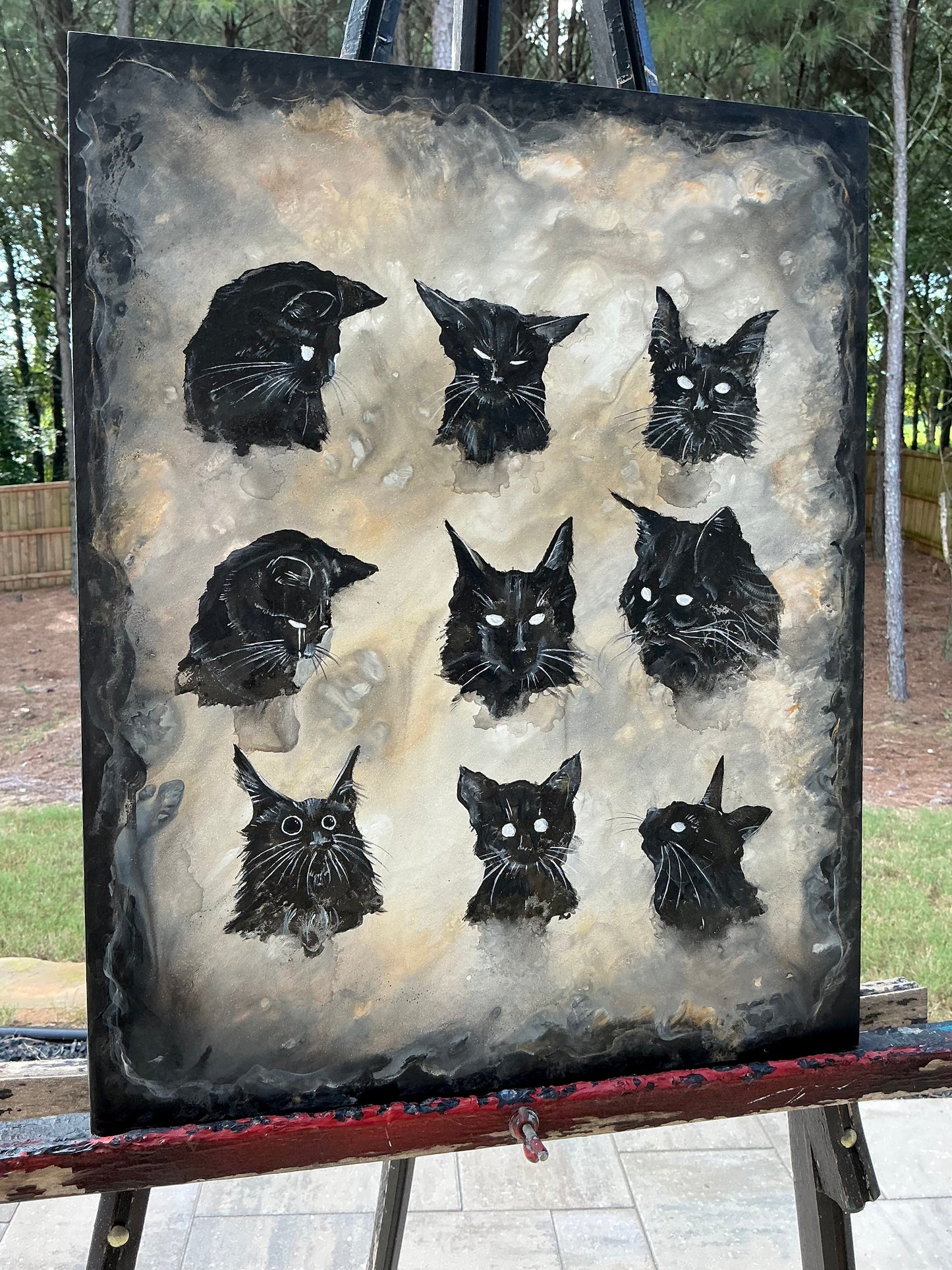 Cattitude