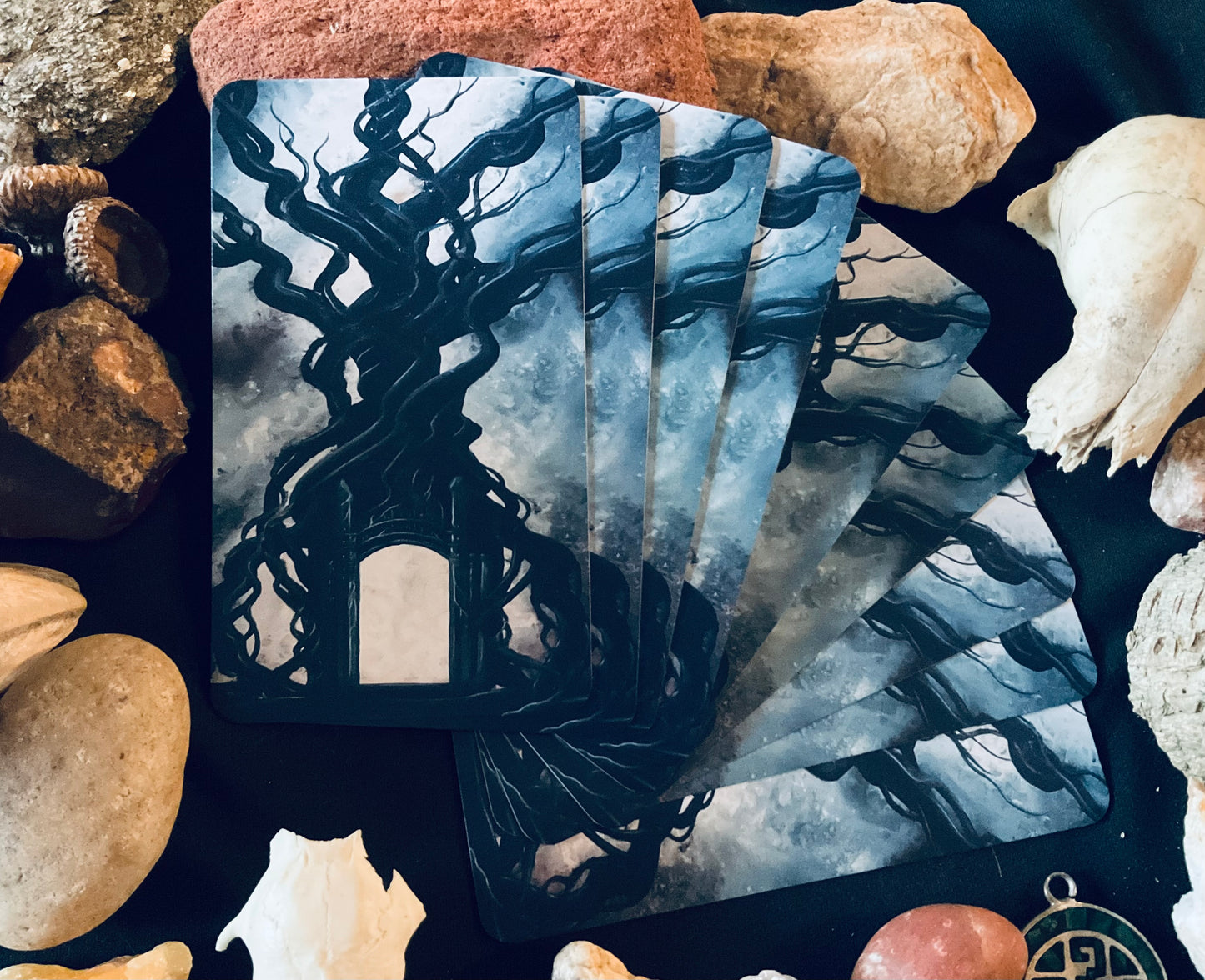 Wisdom of the Raven Oracle Deck