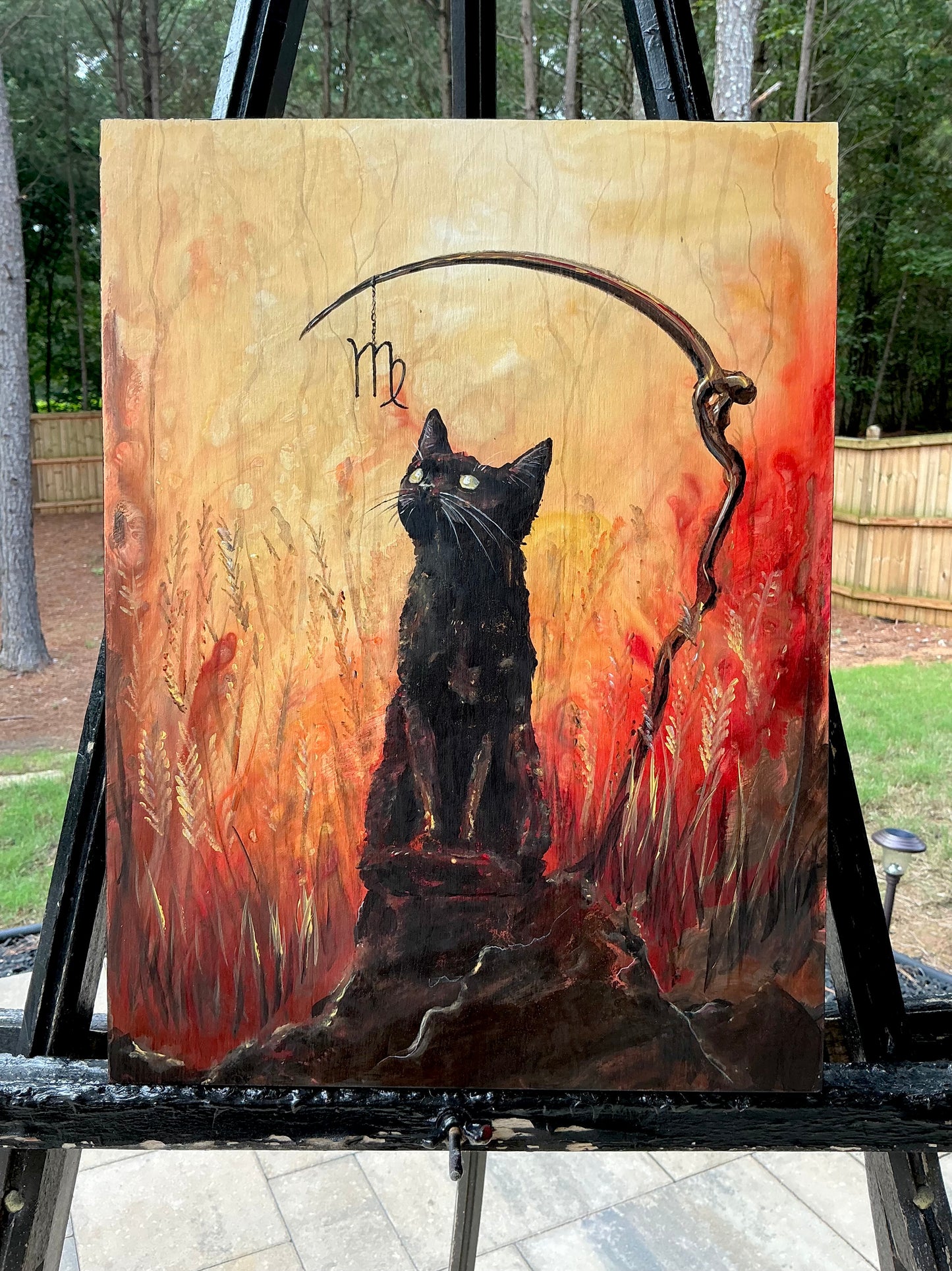 Virgo Kitten