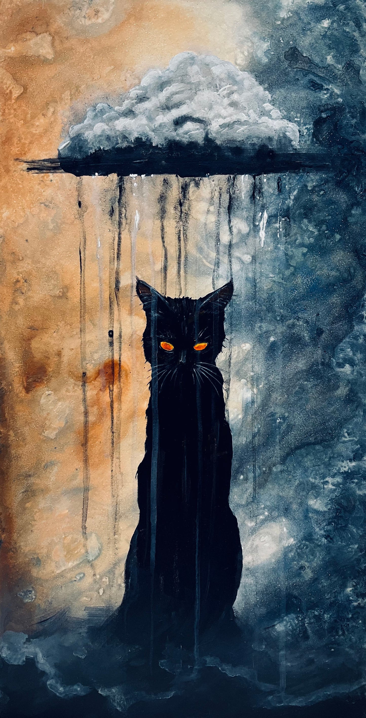 Tempestuous Tomcat