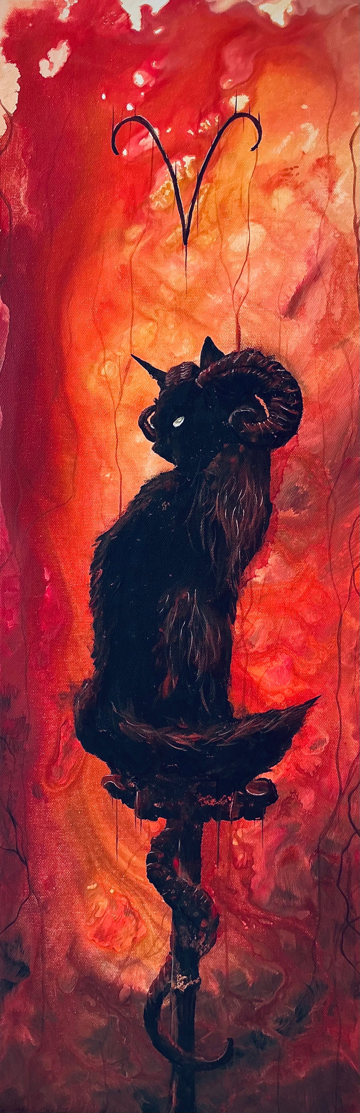Aries Kitten