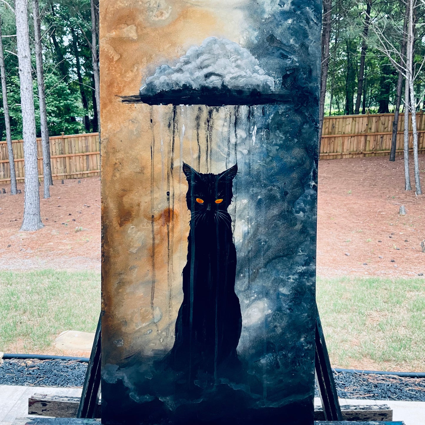 Tempestuous Tomcat