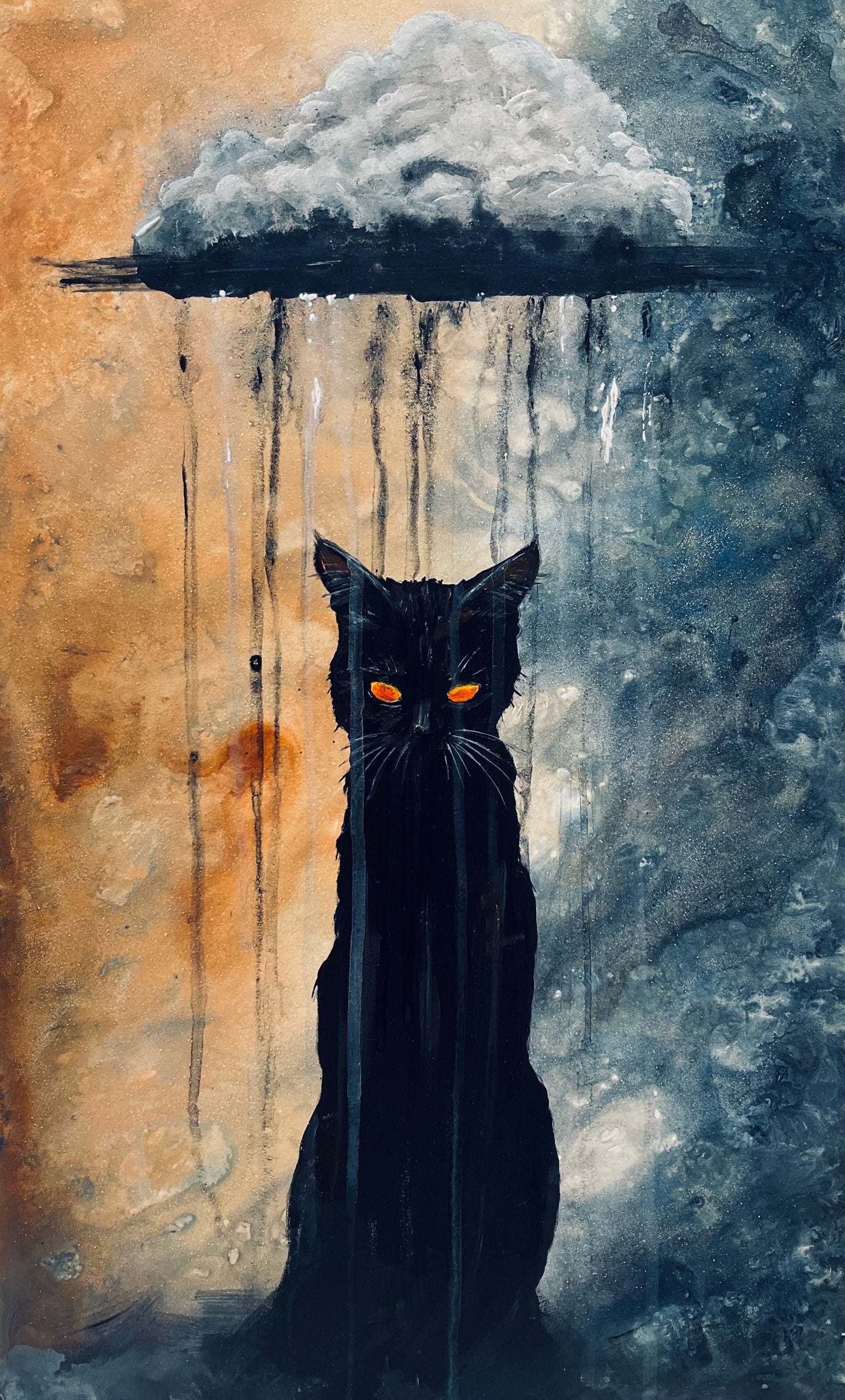 Tempestuous Tomcat