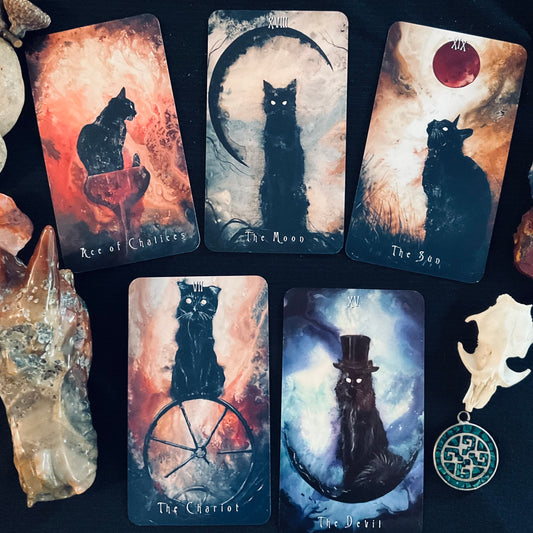 The Haunted Cat Tarot Deck