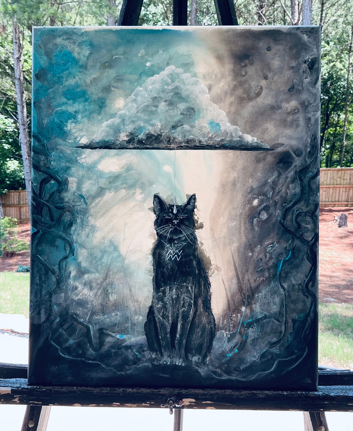 Aquaricat