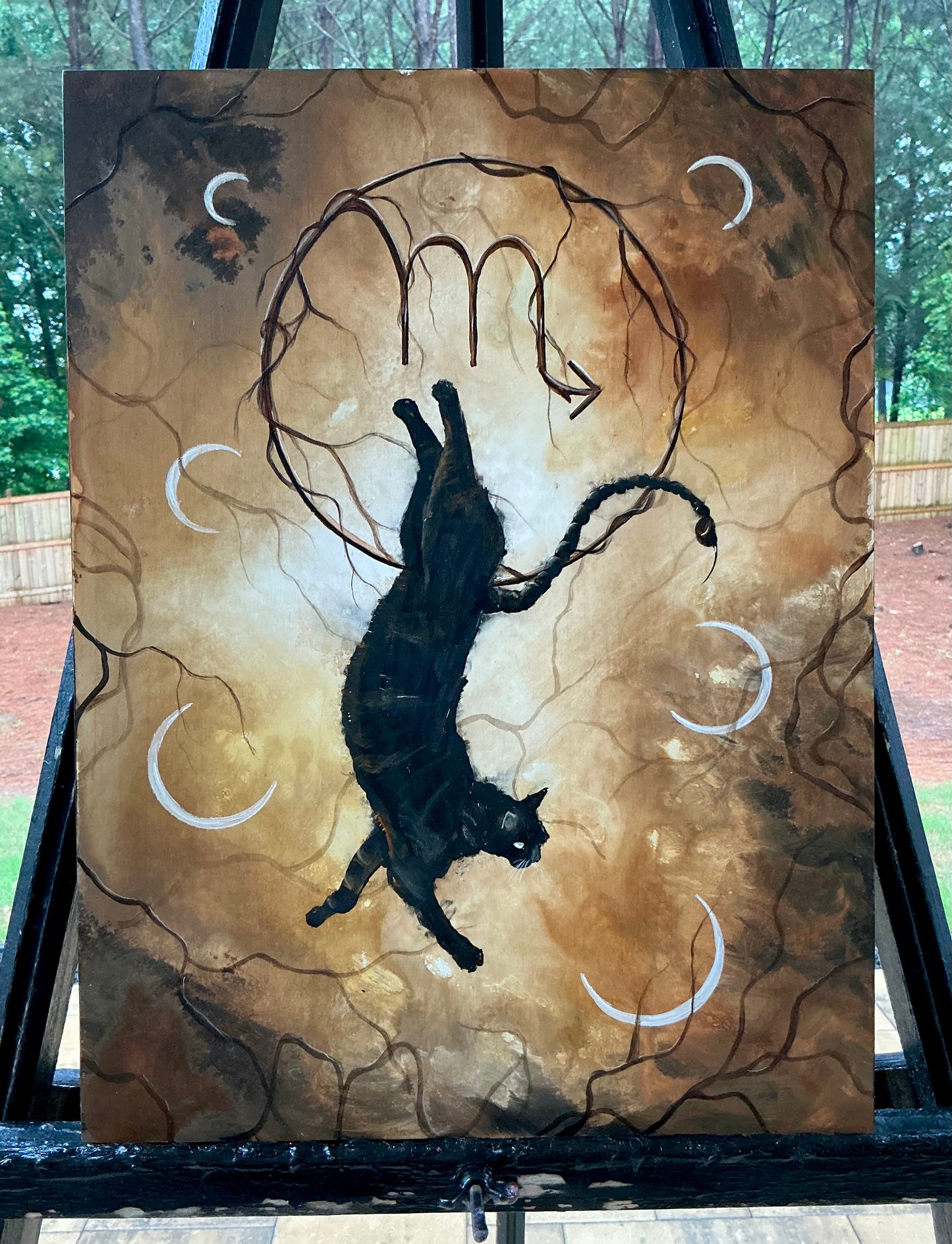 Scorpio Cat