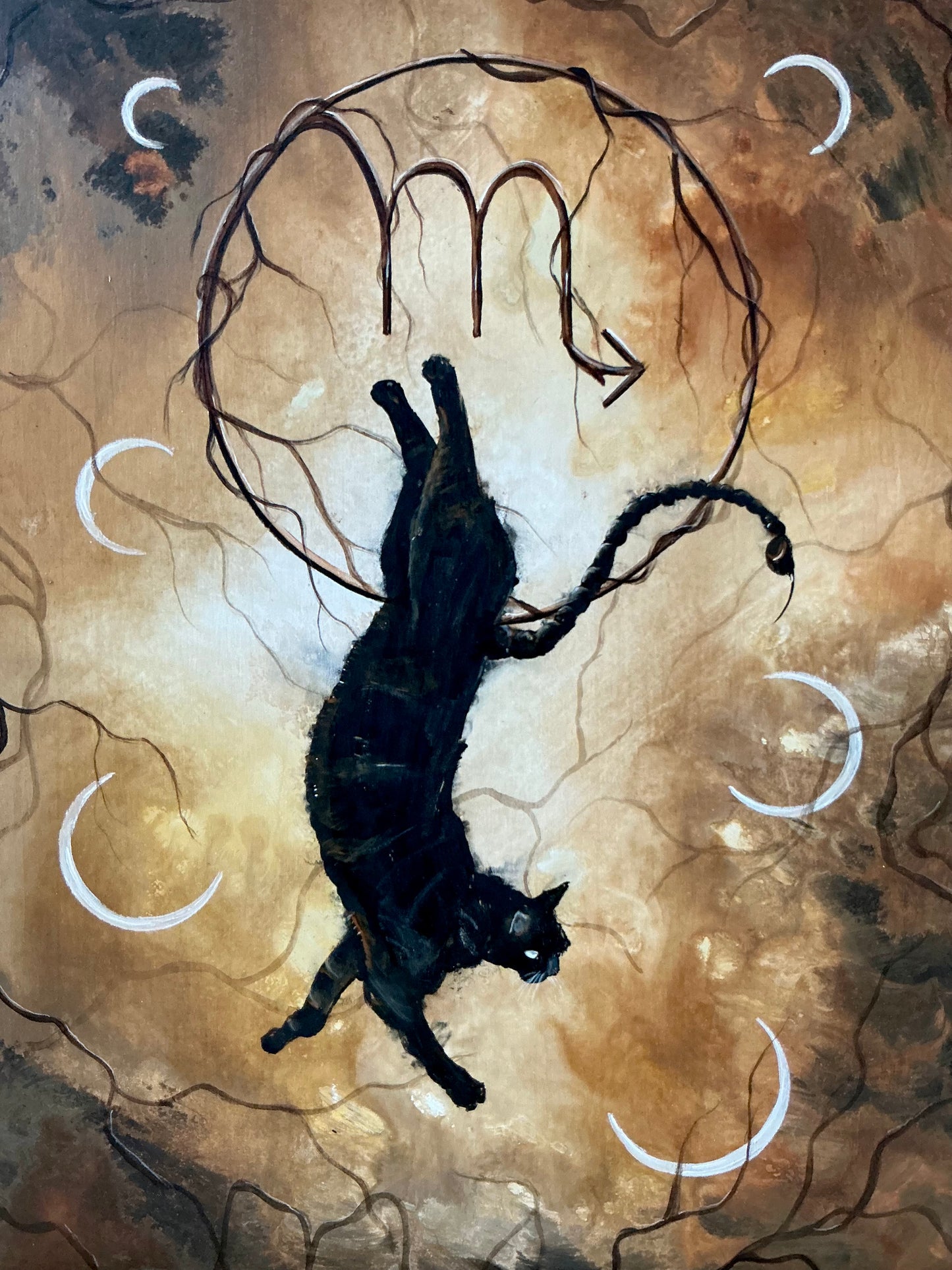 Scorpio Cat