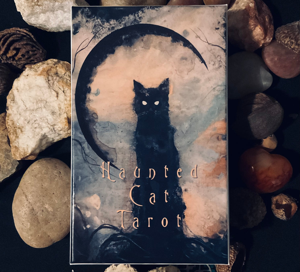 The Haunted Cat Tarot Deck