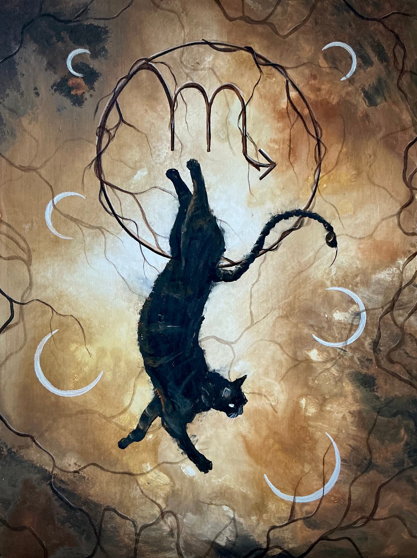 Scorpio Cat
