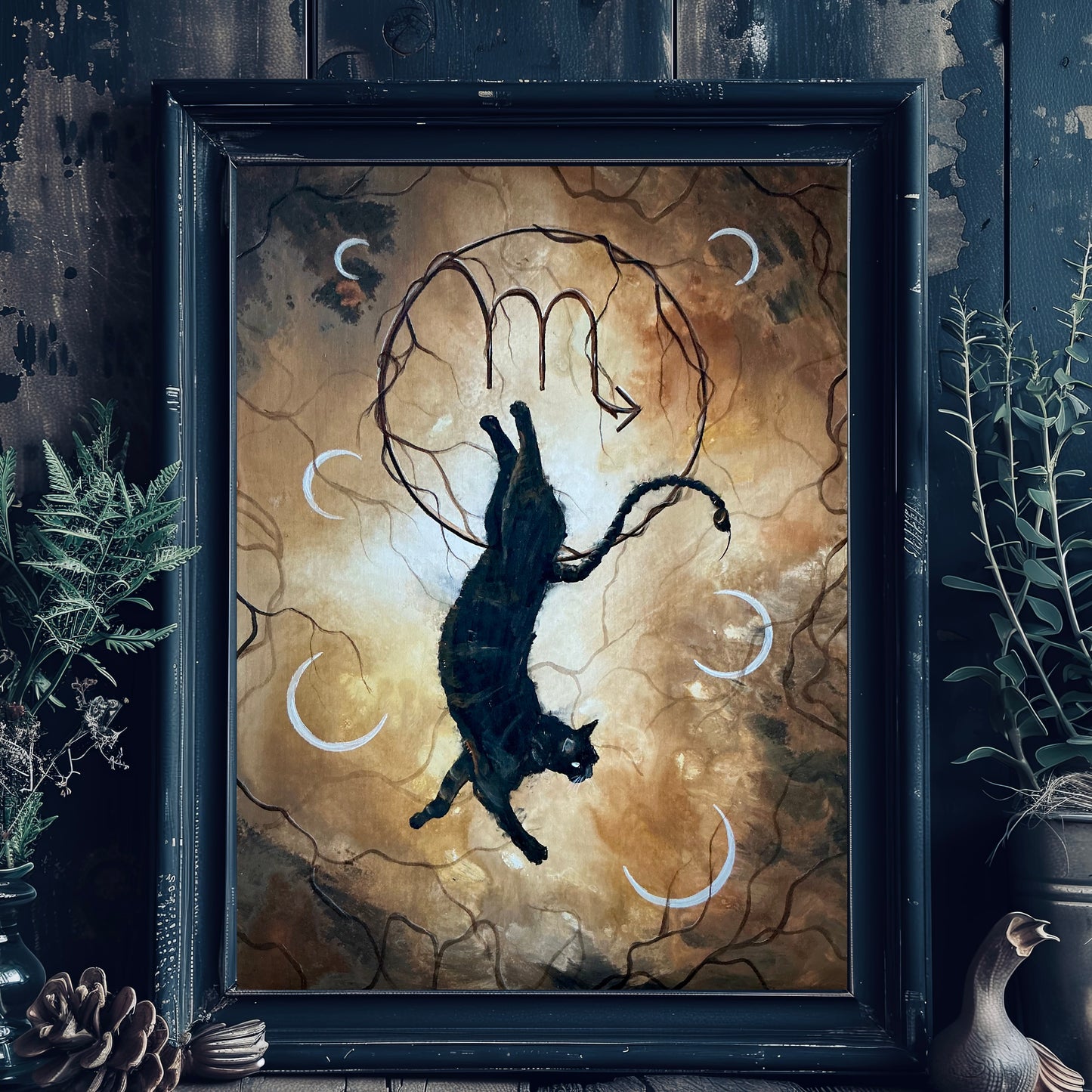 Scorpio Cat