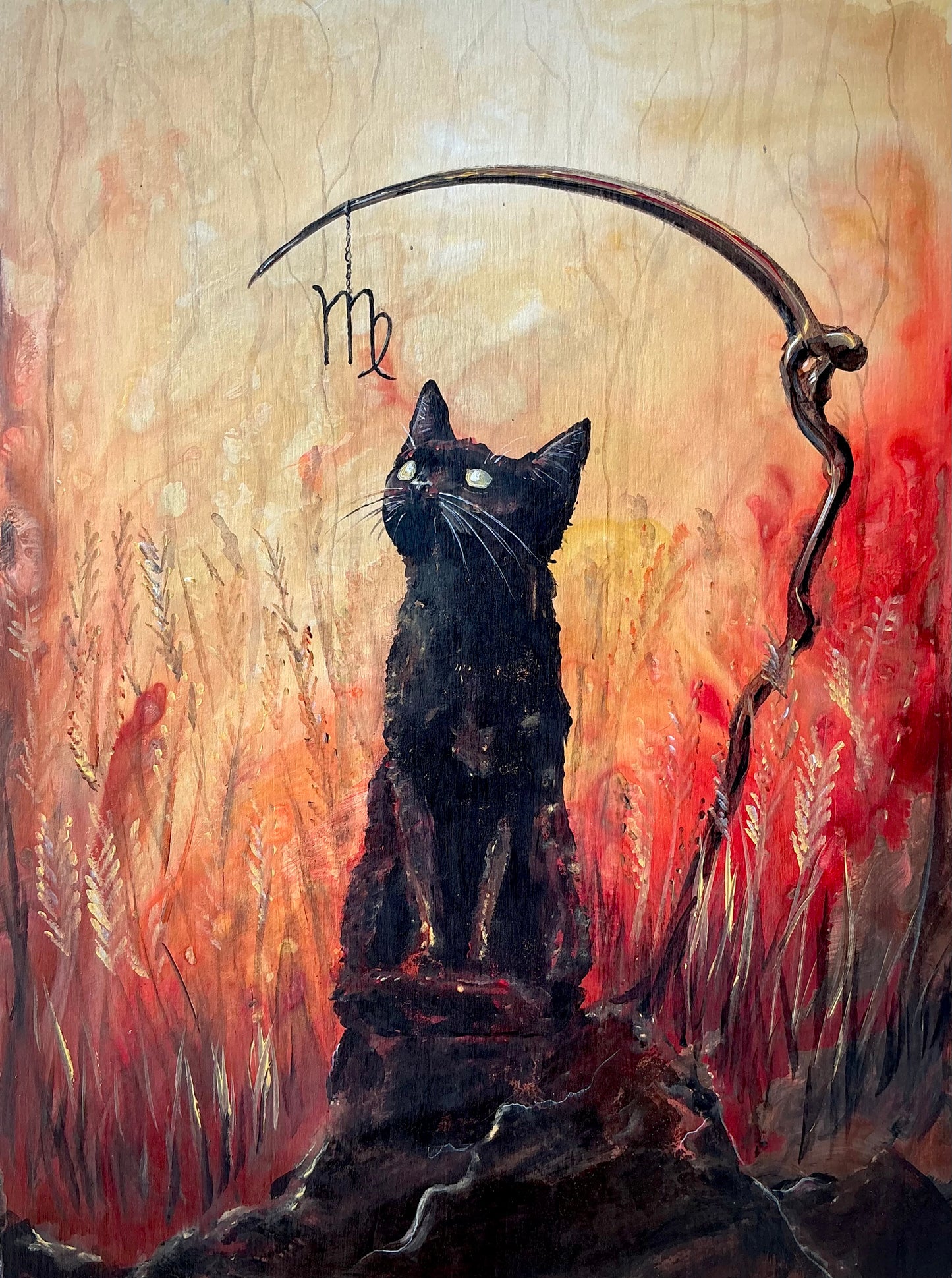 Virgo Kitten